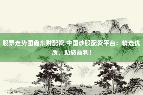 股票走勢(shì)圖鑫東財(cái)配資 中國(guó)炒股配資平臺(tái)：精選優(yōu)質(zhì)，助您盈利！