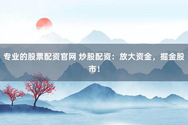 專業(yè)的股票配資官網(wǎng) 炒股配資：放大資金，掘金股市！