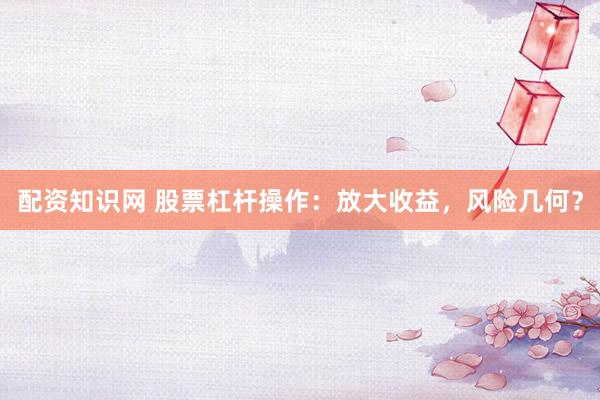 配資知識網(wǎng) 股票杠桿操作：放大收益，風(fēng)險幾何？