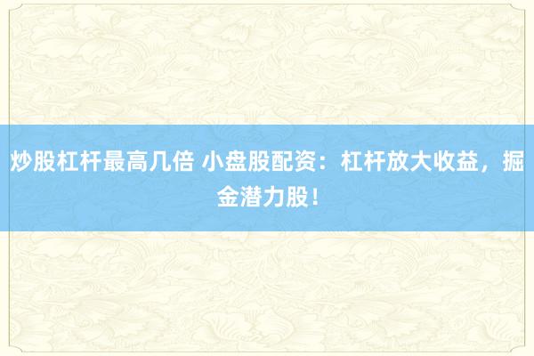 炒股杠桿最高幾倍 小盤(pán)股配資：杠桿放大收益，掘金潛力股！