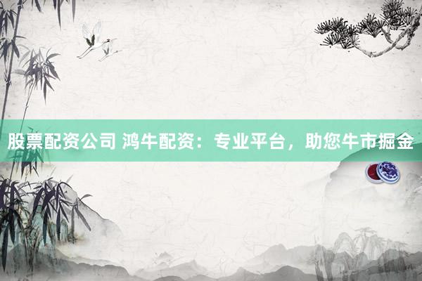 股票配資公司 鴻牛配資：專業(yè)平臺，助您牛市掘金