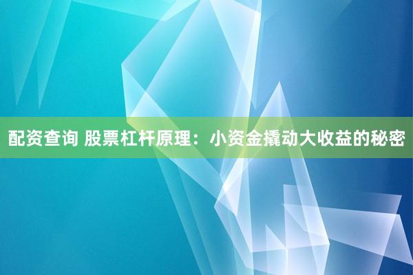 配資查詢 股票杠桿原理：小資金撬動大收益的秘密