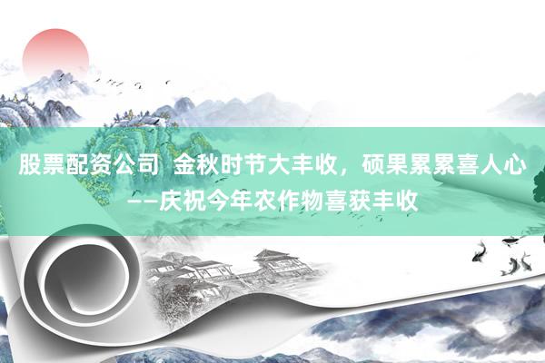 股票配資公司  金秋時節(jié)大豐收，碩果累累喜人心——慶祝今年農(nóng)作物喜獲豐收