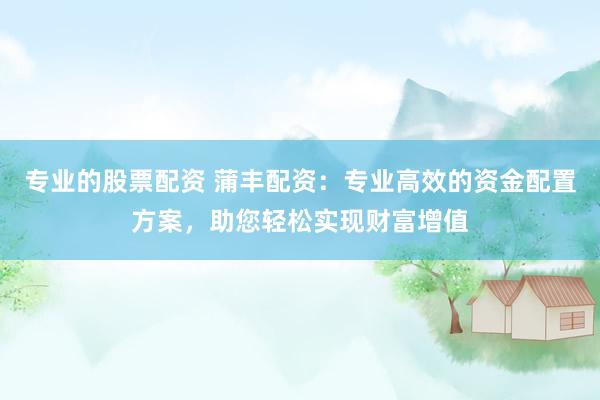 專業(yè)的股票配資 蒲豐配資：專業(yè)高效的資金配置方案，助您輕松實現(xiàn)財富增值