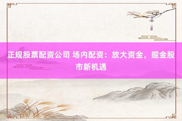 正規(guī)股票配資公司 場內(nèi)配資：放大資金，掘金股市新機遇
